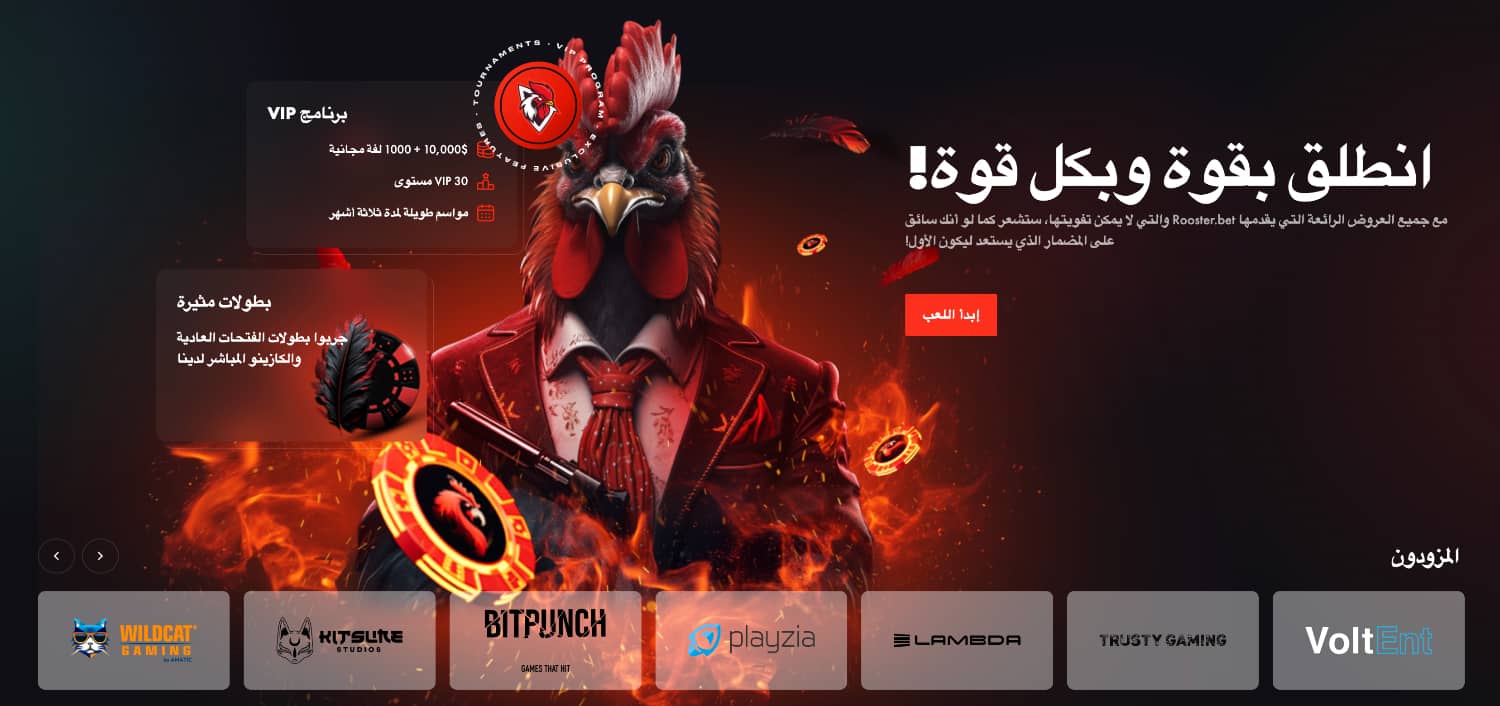 كازينو روستر بت Rooster bet