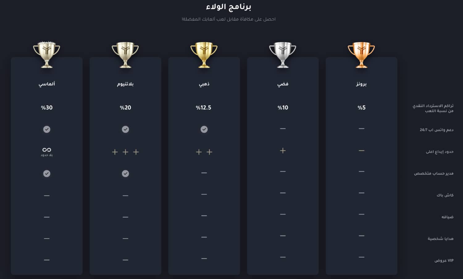 برنامج VIP والولاء في كازينو YYY